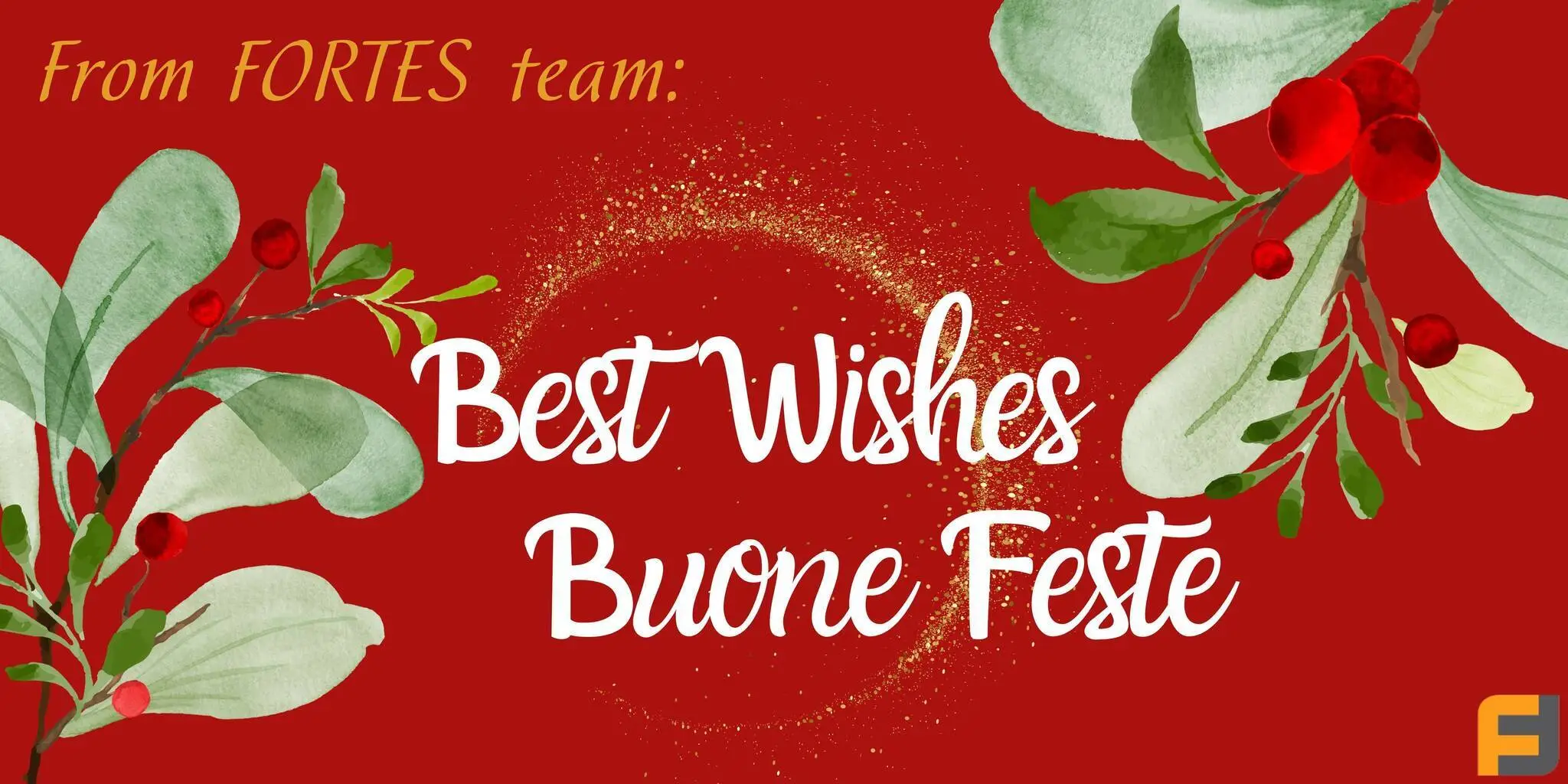  FORTES Team wishes everyone Happy Holidays!