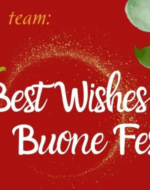 Il Team di FORTES augura a tutti Buone Feste!